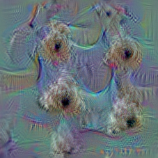 n02095570